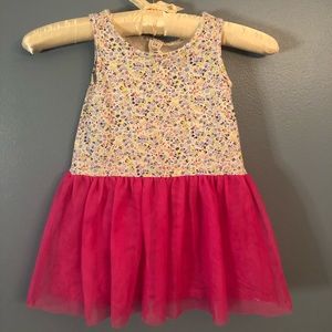 Baby Gap Tulle Dress